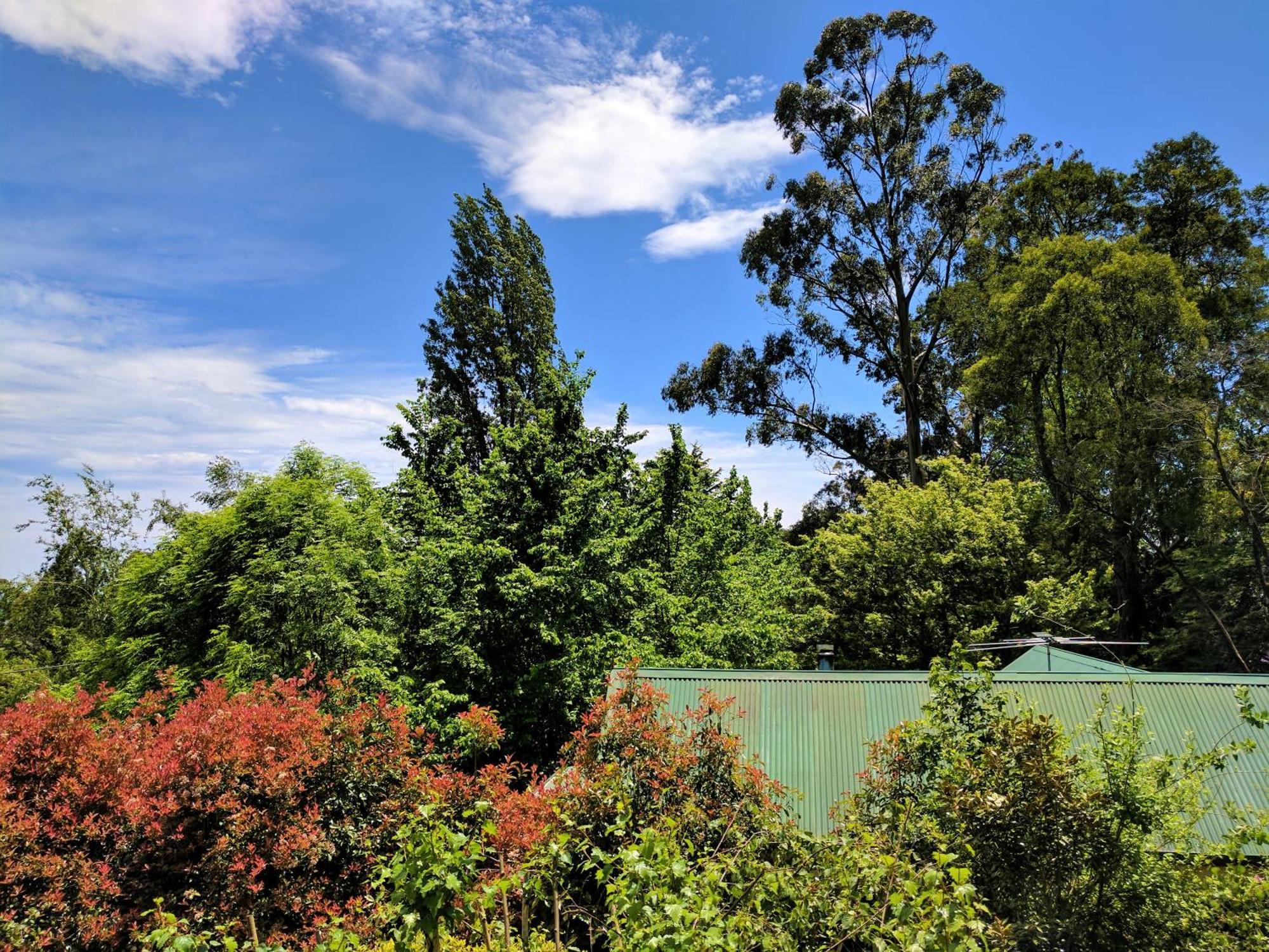 Annie Roes Luxury B&B Bend of Islands 外观 照片