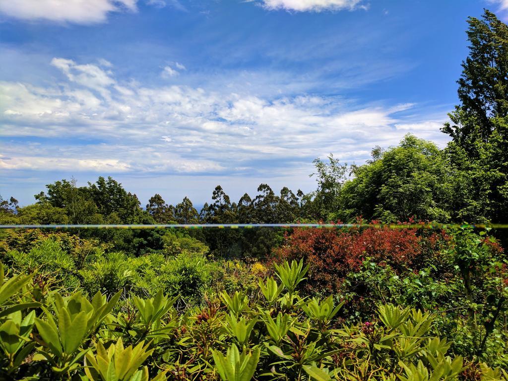 Annie Roes Luxury B&B Bend of Islands 外观 照片