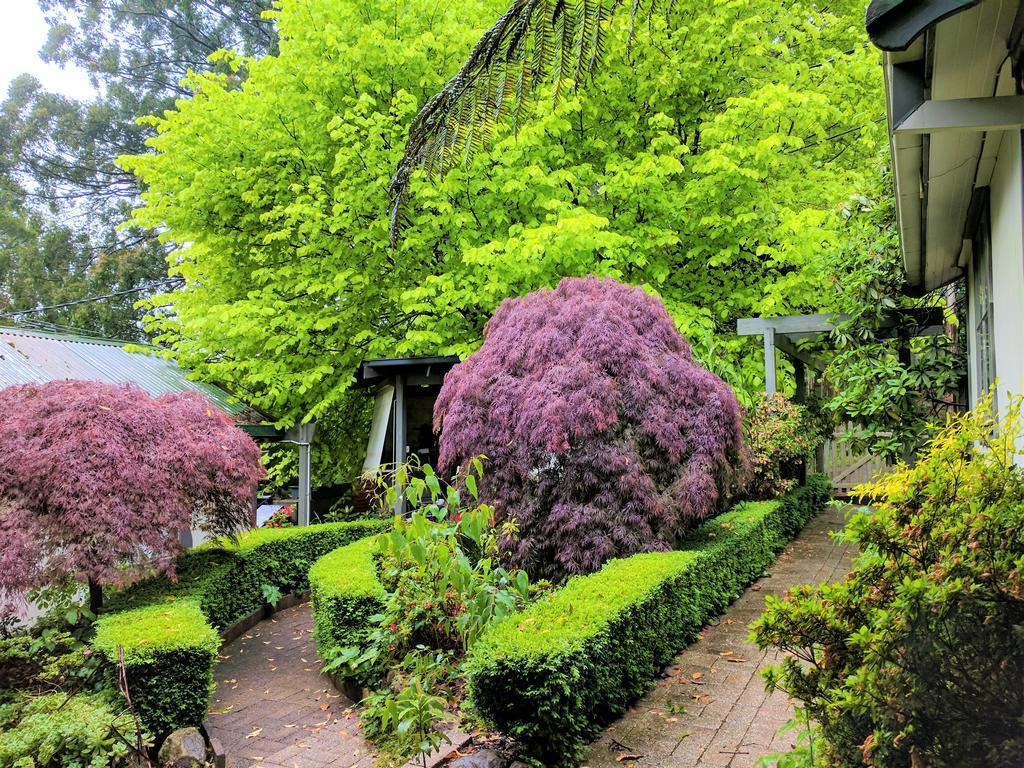Annie Roes Luxury B&B Bend of Islands 外观 照片